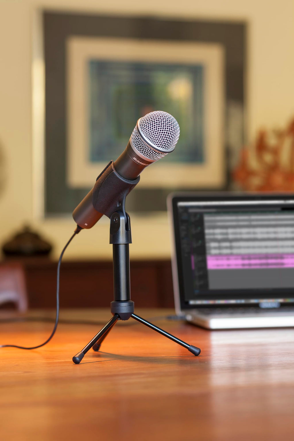 SAMSON Q2U Dynamic USB/XLR Microphone